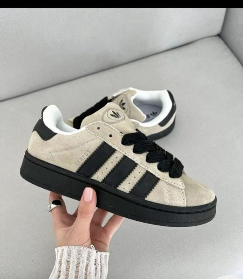 Campus Adidas