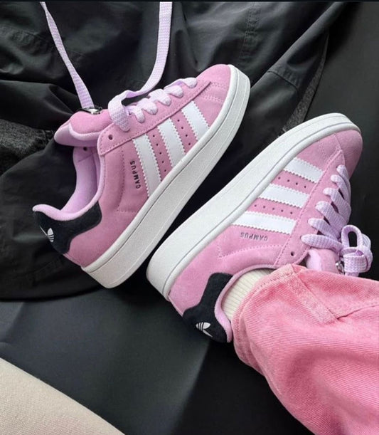Campus Adidas