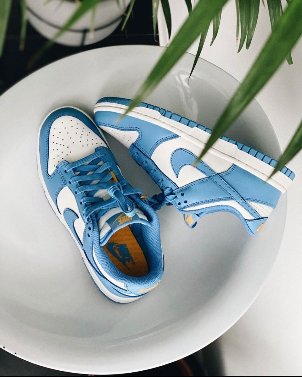 Nike Sb