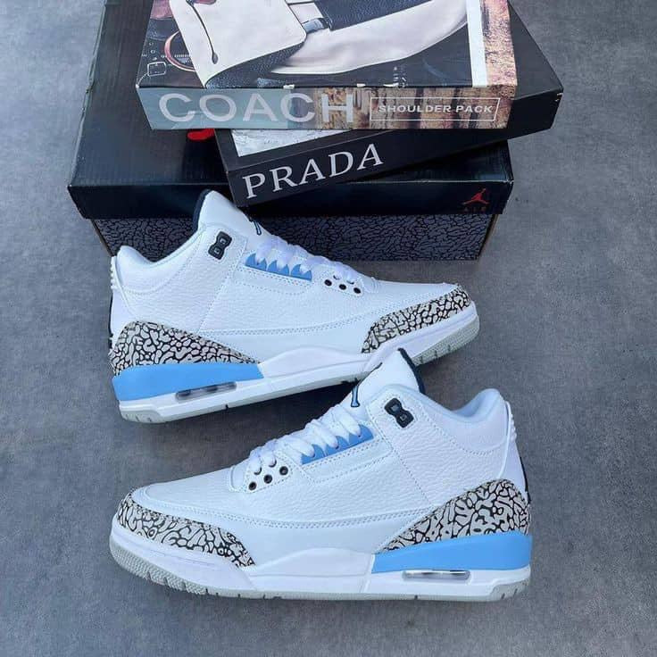 Jordan 3